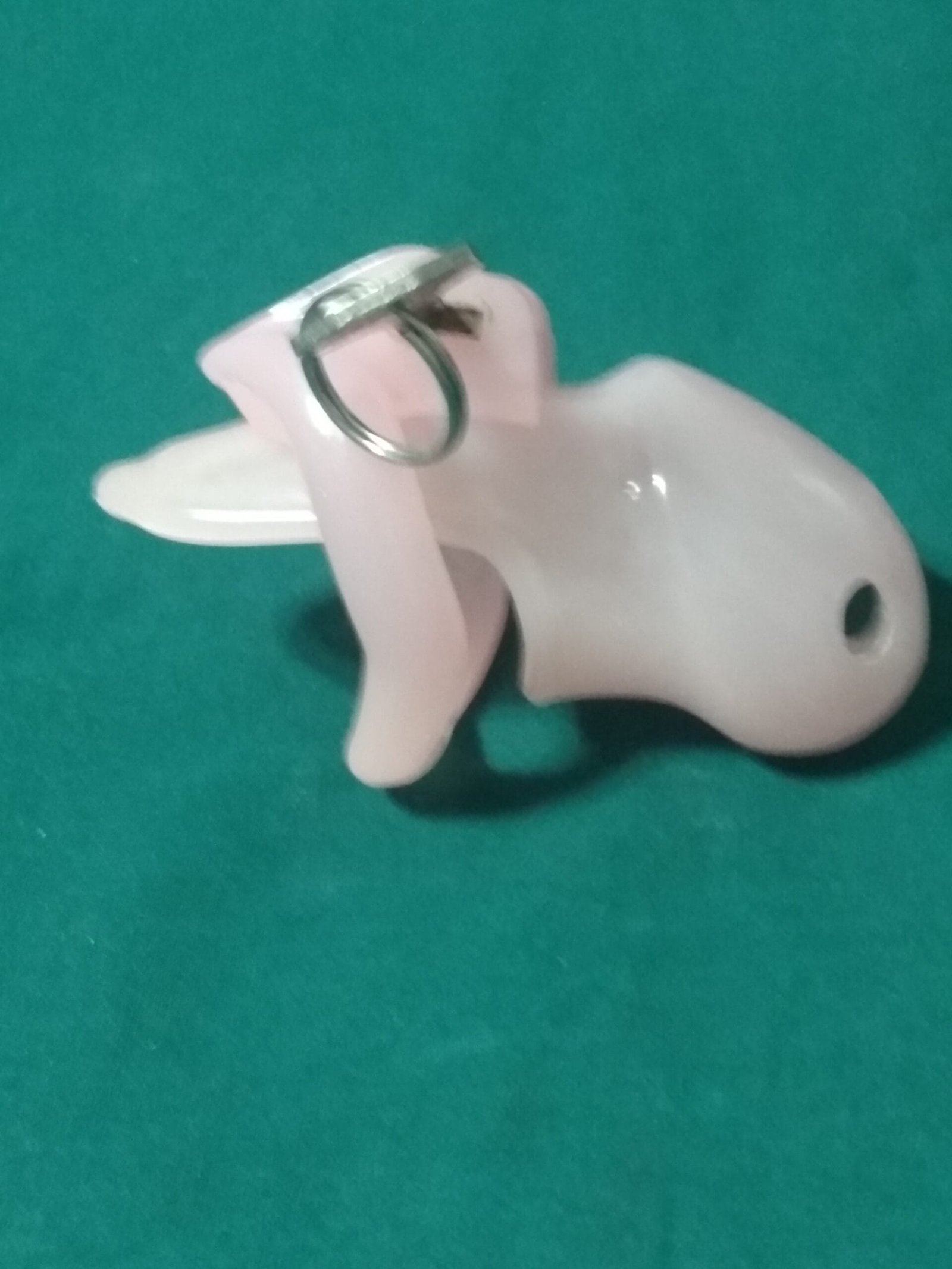 Chastity cage