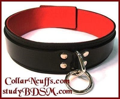 BDSM collar with D ring