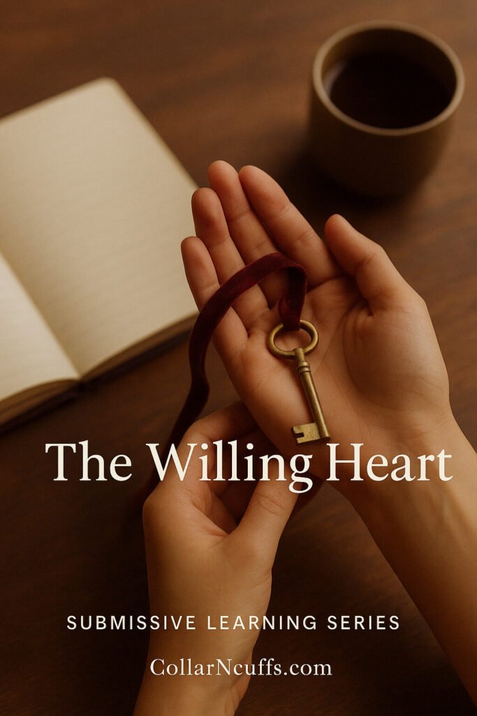 Submissive’s Guide to starting